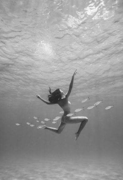 'Fish bank' from the Levitation series, St. Barth's fine art, underwater photography