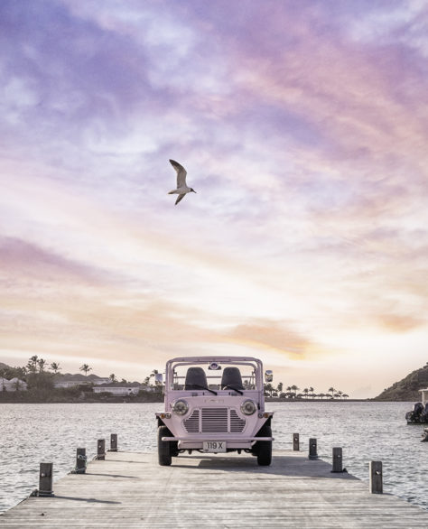 A Pink Moke and a Seagull, Grand Cul-de-Sac lagoon, St. Barts (2024)